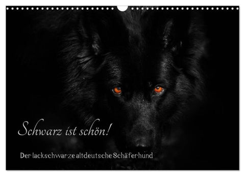 Schwarz ist schön! Der lackschwarze altdeutsche Schäferhund (Wandkalender 2027 DIN A3 quer), CALVENDO Monatskalender