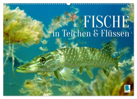 Fische in Teichen und Flüssen (Wandkalender 2027 DIN A2 quer), CALVENDO Monatskalender
