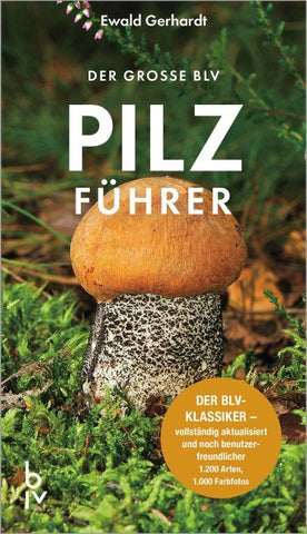 Der große BLV Pilzführer