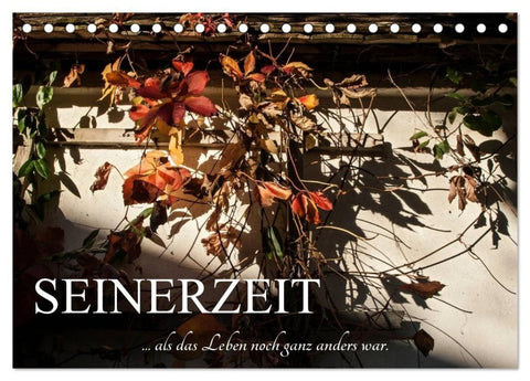 Seinerzeit (Tischkalender 2027 DIN A5 quer), CALVENDO Monatskalender