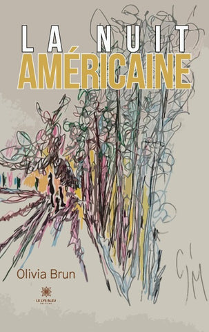 La nuit américaine