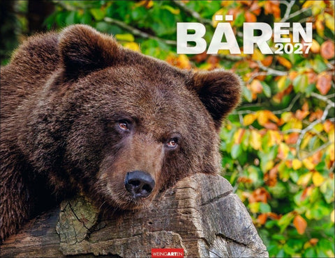 Bären Kalender 2027
