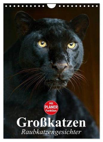 Großkatzen. Raubkatzengesichter (Wandkalender 2027 DIN A4 hoch), CALVENDO Monatskalender