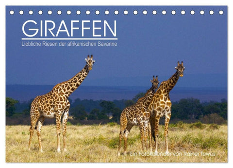 GIRAFFEN - Liebliche Riesen der afrikanischen Savanne (Tischkalender 2026 DIN A5 quer), CALVENDO Monatskalender