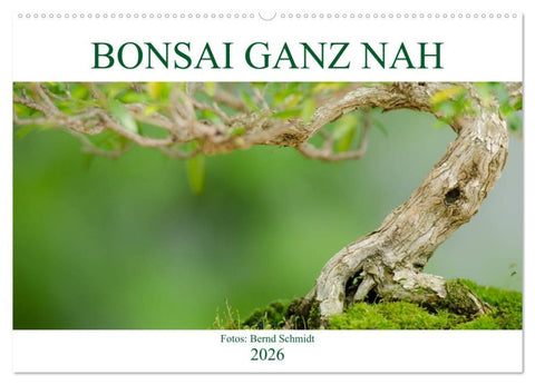 Bonsai ganz nah (Wandkalender 2026 DIN A2 quer), CALVENDO Monatskalender