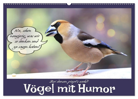 Vögel mit Humor (Wandkalender 2027 DIN A2 quer), CALVENDO Monatskalender