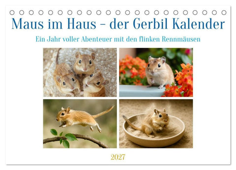 Maus im Haus - der Gerbil Kalender (Tischkalender 2027 DIN A5 quer), CALVENDO Monatskalender