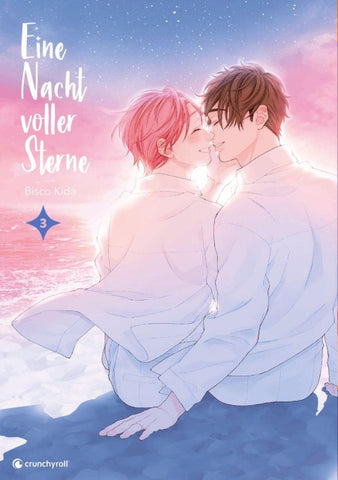 Eine Nacht voller Sterne – Band 3 (Finale)