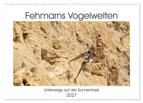 Fehmarn Vogelwelten (Wandkalender 2027 DIN A2 quer), CALVENDO Monatskalender