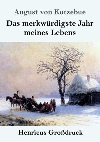Das merkwürdigste Jahr meines Lebens (Großdruck)