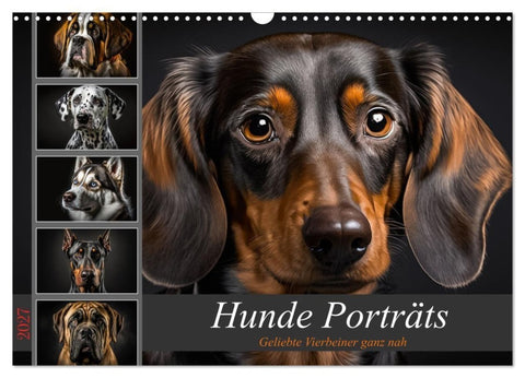 Hunde Porträts (Wandkalender 2027 DIN A3 quer), CALVENDO Monatskalender