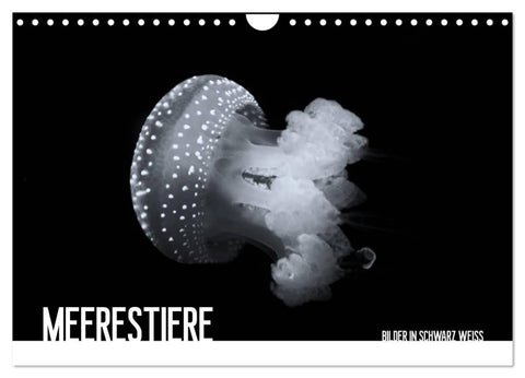 Meerestiere Bilder in Schwarz Weiss (Wandkalender 2027 DIN A4 quer), CALVENDO Monatskalender