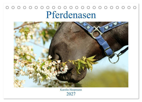 Pferdenasen (Tischkalender 2027 DIN A5 quer), CALVENDO Monatskalender