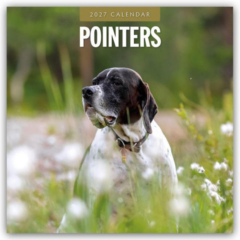 Pointers – Vorstehhund – Pointer 2027 – 16-Monatskalender