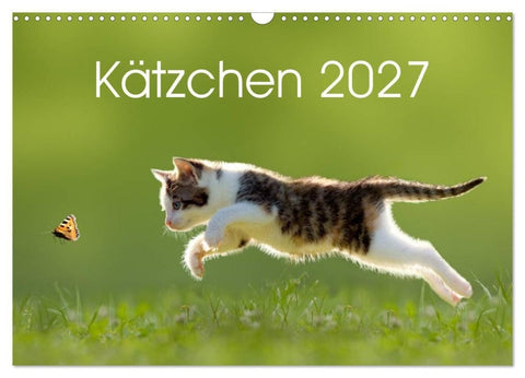 Kätzchen 2027 (Wandkalender 2027 DIN A3 quer), CALVENDO Monatskalender
