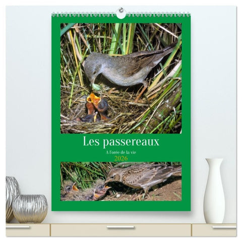 Les passereaux à l'orée de la vie  (Calendrier mural 2026 DIN A2 horizontal) calendrier de bureau