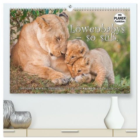 Emotionale Momente: Löwenbabys - so süß. (hochwertiger Premium Wandkalender 2026 DIN A2 quer), Kunstdruck in Hochglanz