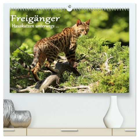 Freigänger - Hauskatzen unterwegs (hochwertiger Premium Wandkalender 2026 DIN A2 quer), Kunstdruck in Hochglanz
