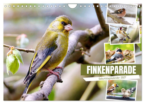 Finkenparade (Wandkalender 2027 DIN A4 quer), CALVENDO Monatskalender