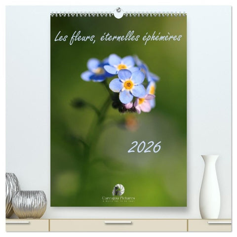 Les fleurs, éternelles éphemères (Calendrier mural haut de gamme 2027 DIN A2 horizontal), CALVENDO calendrier mensuel
