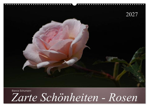 Zarte Schönheiten - Rosen (Wandkalender 2027 DIN A2 quer), CALVENDO Monatskalender