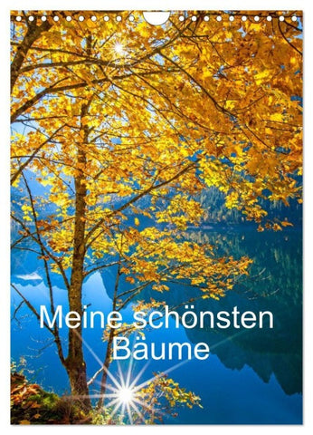 Meine schönsten Bäume (Wandkalender 2027 DIN A4 hoch), CALVENDO Monatskalender