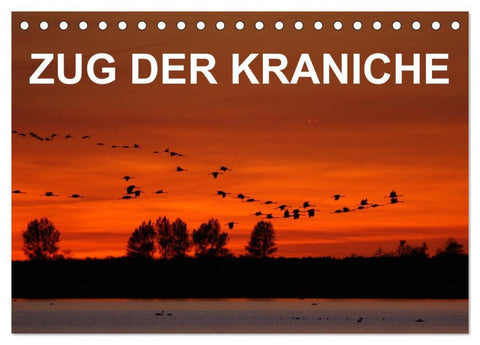 Zug der Kraniche (Tischkalender 2026 DIN A5 quer), CALVENDO Monatskalender