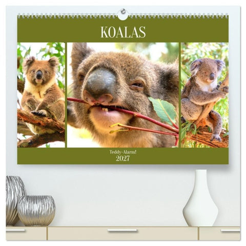 Koalas. Teddy-Alarm! (hochwertiger Premium Wandkalender 2027 DIN A2 quer), Kunstdruck in Hochglanz