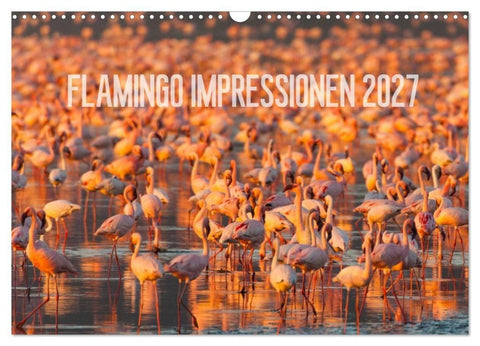 Flamingo Impressionen 2027 (Wandkalender 2027 DIN A3 quer), CALVENDO Monatskalender