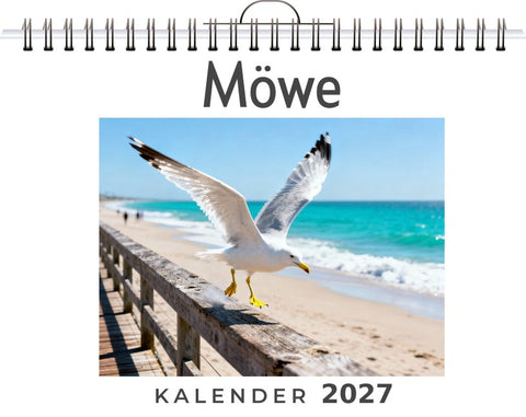 Möwe