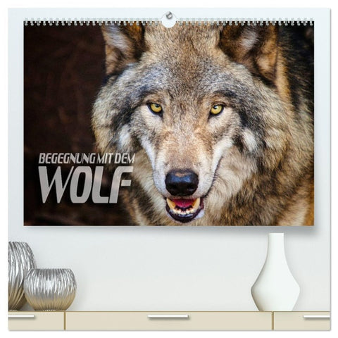 Begegnung mit dem Wolf (hochwertiger Premium Wandkalender 2026 DIN A2 quer), Kunstdruck in Hochglanz