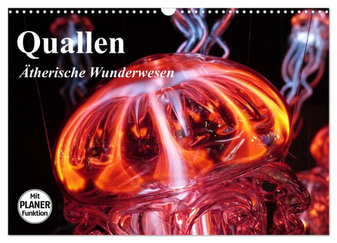 Quallen. Ätherische Wunderwesen (Wandkalender 2026 DIN A3 quer), CALVENDO Monatskalender