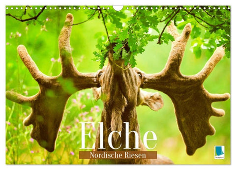 Elche: Nordische Riesen (Wandkalender 2027 DIN A3 quer), CALVENDO Monatskalender