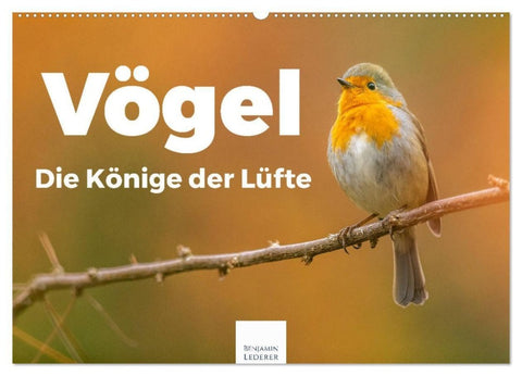 Vögel - Die Könige der Lüfte (Wandkalender 2027 DIN A2 quer), CALVENDO Monatskalender