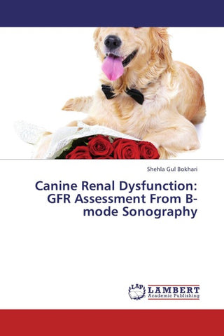 Canine Renal Dysfunction: GFR Assessment From B-mode Sonography