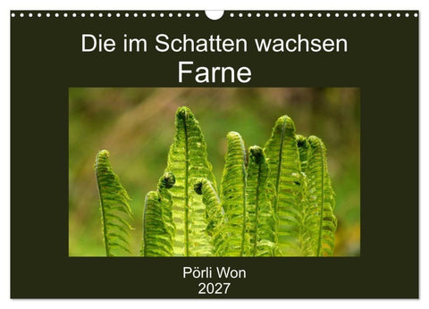 Die im Schatten wachsen - Farne (Wandkalender 2027 DIN A3 quer), CALVENDO Monatskalender