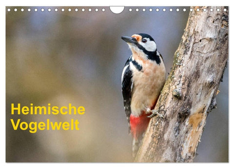 Heimische Vogelwelt (Wandkalender 2027 DIN A4 quer), CALVENDO Monatskalender
