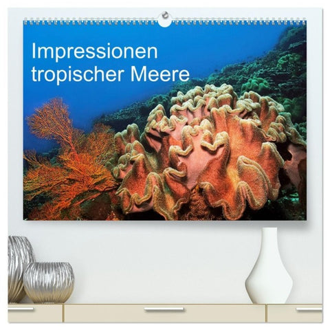 Impressionen tropischer Meere (hochwertiger Premium Wandkalender 2027 DIN A2 quer), Kunstdruck in Hochglanz