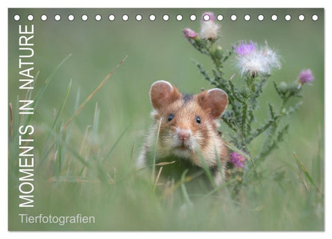 Moments in Nature (Tischkalender 2027 DIN A5 quer), CALVENDO Monatskalender