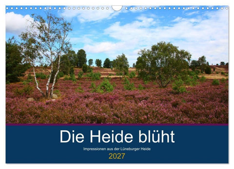 Die Heide blüht (Wandkalender 2027 DIN A3 quer), CALVENDO Monatskalender