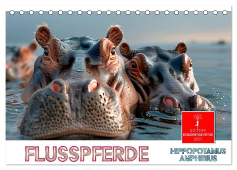 Flusspferde - Hippopotamus amphibius (Tischkalender 2027 DIN A5 quer), CALVENDO Monatskalender