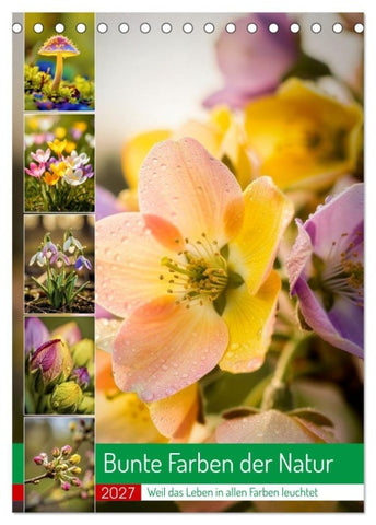 Bunte Farben der Natur (Tischkalender 2027 DIN A5 hoch), CALVENDO Monatskalender
