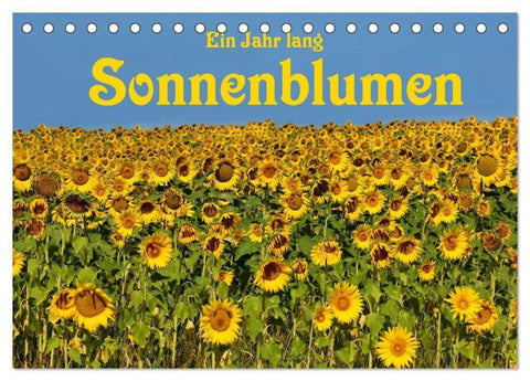 Ein Jahr lang Sonnenblumen (Tischkalender 2027 DIN A5 quer), CALVENDO Monatskalender