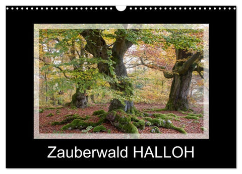 Zauberwald HALLOH (Wandkalender 2027 DIN A3 quer), CALVENDO Monatskalender