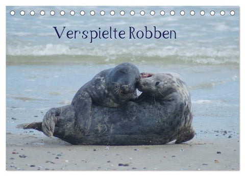 Verspielte Robben (Tischkalender 2027 DIN A5 quer), CALVENDO Monatskalender
