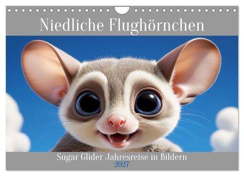 Niedliche Flughörnchen - Sugar Glider Jahresreise (Wandkalender 2027 DIN A4 quer), CALVENDO Monatskalender