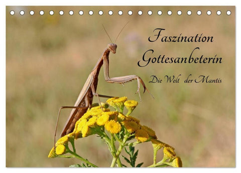 Faszination Gottesanbeterin - Die Welt der Mantis (Tischkalender 2027 DIN A5 quer), CALVENDO Monatskalender