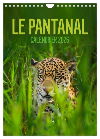 Le Pantanal (Calendrier mural 2026 DIN A4 horizontal), CALVENDO calendrier mensuel