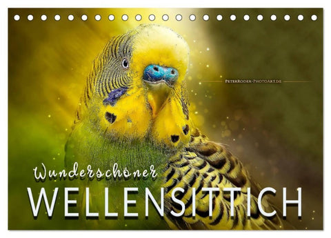 Wunderschöner Wellensittich (Tischkalender 2027 DIN A5 quer), CALVENDO Monatskalender