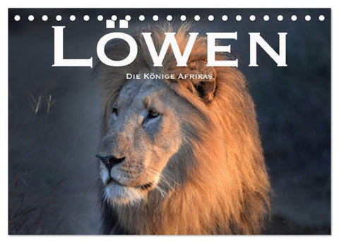 Löwen. Die Könige Afrikas (Tischkalender 2027 DIN A5 quer), CALVENDO Monatskalender